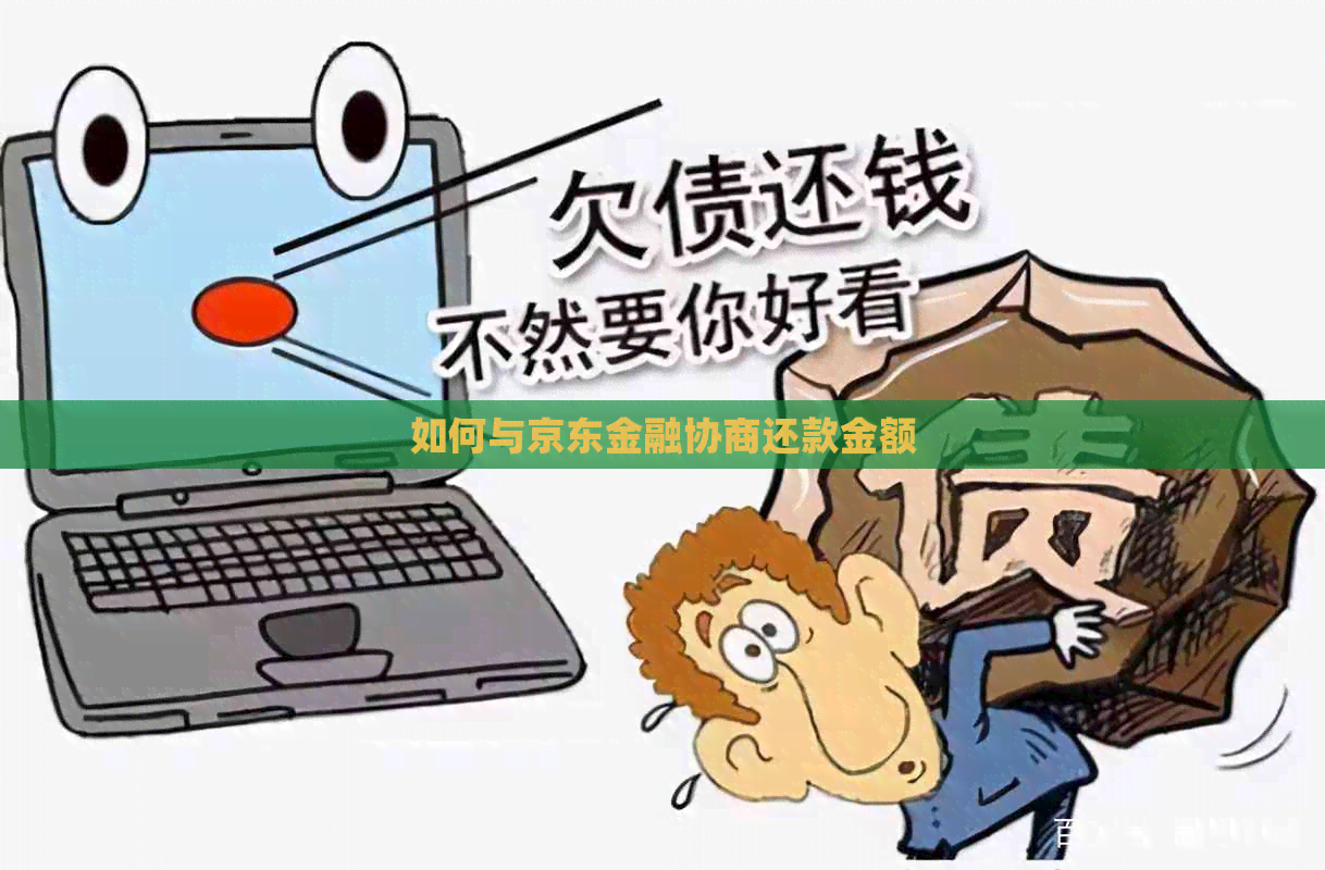 如何与京东金融协商还款金额