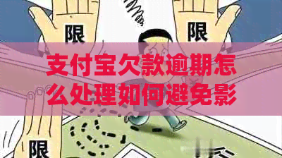 支付宝欠款逾期怎么处理如何避免影响个人信用