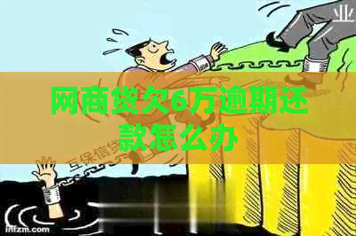 网贷欠6万逾期还款怎么办