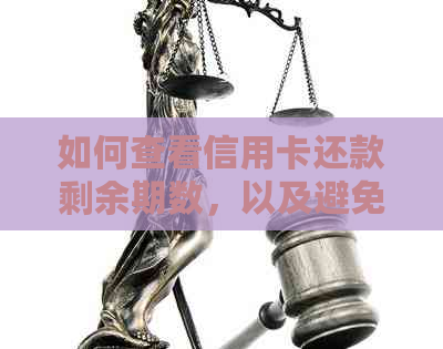 如何查看信用卡还款剩余期数，以及避免逾期还款的策略建议