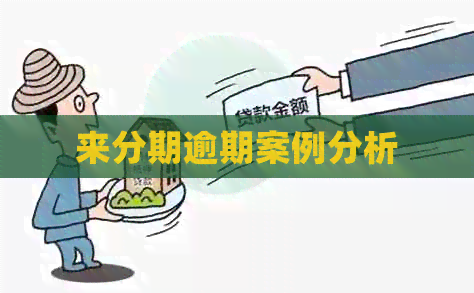 来分期逾期案例分析