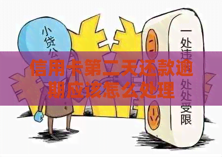 信用卡第二天还款逾期应该怎么处理