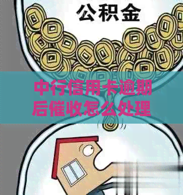 中行信用卡逾期后怎么处理