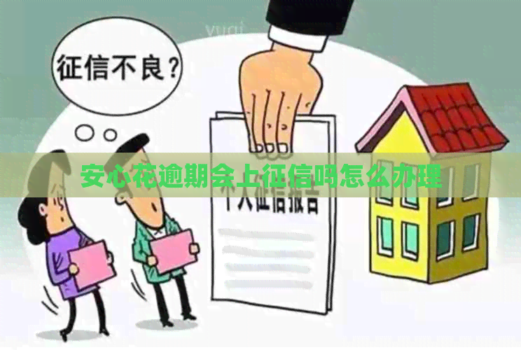 安心花逾期会上吗怎么办理