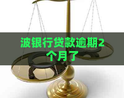 波银行贷款逾期2个月了