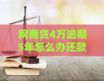 网贷4万逾期5年怎么办还款
