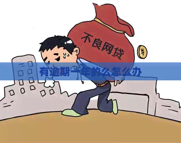有逾期一年的么怎么办
