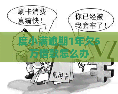 度小满逾期1年欠5万借款怎么办