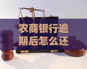 农商银行逾期后怎么还钱才合适