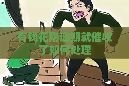 有钱花刚逾期就了如何处理