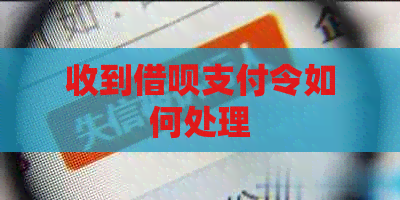 收到网贷支付令如何处理