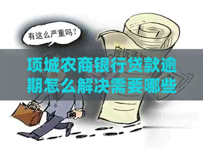 项城农商银行贷款逾期怎么解决需要哪些措