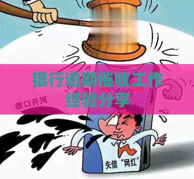 银行逾期工作经验分享