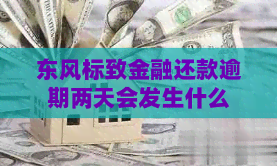 东风标致金融还款逾期两天会发生什么