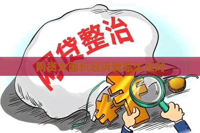 网贷大面积起诉我怎么应对