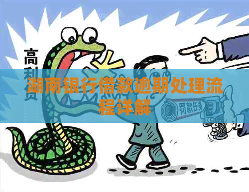 湖南银行借款逾期处理流程详解