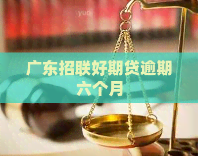 广东网贷好期贷逾期六个月