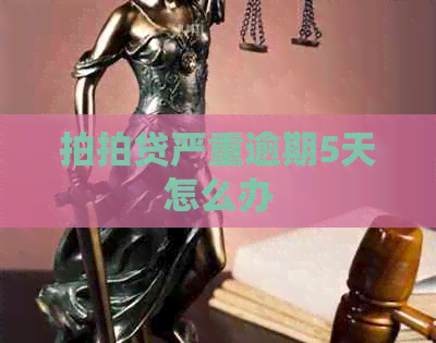 严重逾期5天怎么办