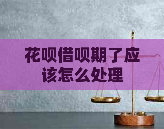 信用卡网贷期了应该怎么处理