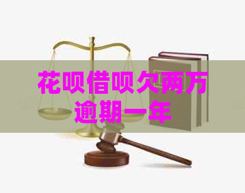 信用卡网贷欠两万逾期一年