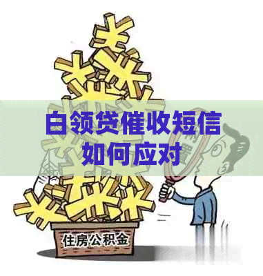 白领贷短信如何应对