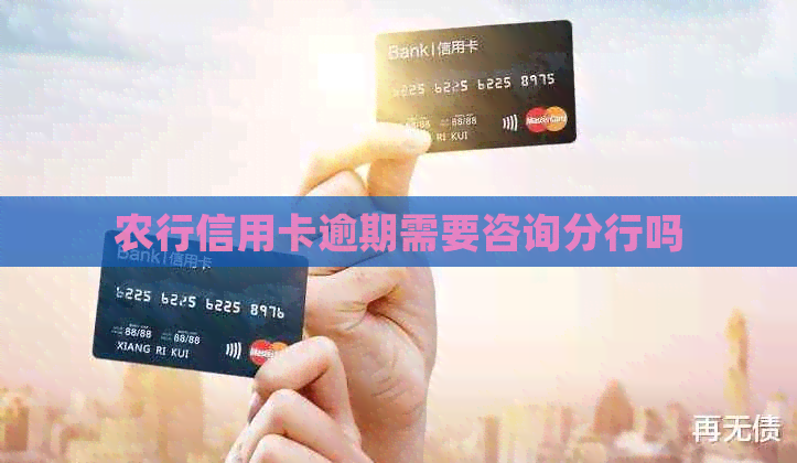 农行信用卡逾期需要咨询分行吗