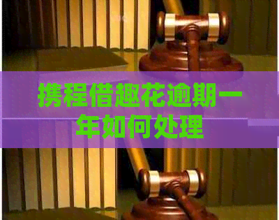 携程借趣花逾期一年如何处理 携程借趣花逾期一年如何处理