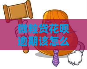 微粒贷信用卡逾期该怎么办