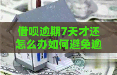 网贷逾期7天才还怎么办如何避免逾期罚款