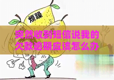突然收到短信说我的欠款逾期应该怎么办
