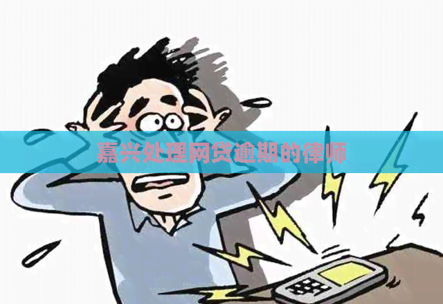 嘉兴处理网贷逾期的律师