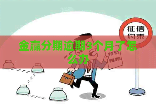 金赢分期逾期3个月了怎么办