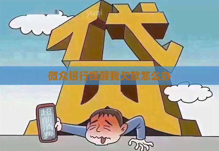 微众银行提醒我欠款怎么办