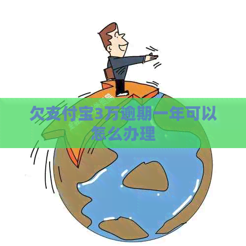 欠支付宝3万逾期一年可以怎么办理