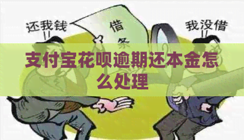 支付宝信用卡逾期还本金怎么处理