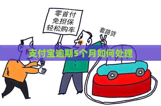 支付宝逾期5个月如何处理