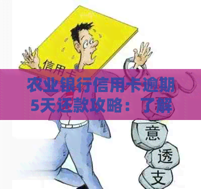 农业银行信用卡逾期5天还款攻略：了解影响与应对措