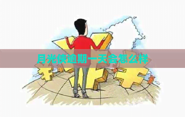月光侠逾期一天会怎么样