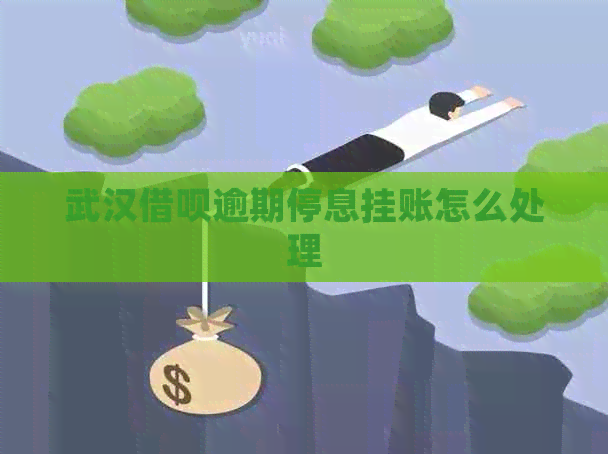 武汉网贷逾期停息挂账怎么处理