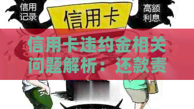 信用卡违约金相关问题解析：还款责任与数额计算方式全解析