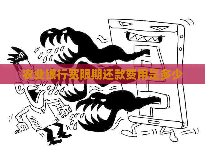 农业银行宽限期还款费用是多少