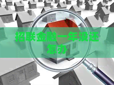 招联金融一年没还怎办