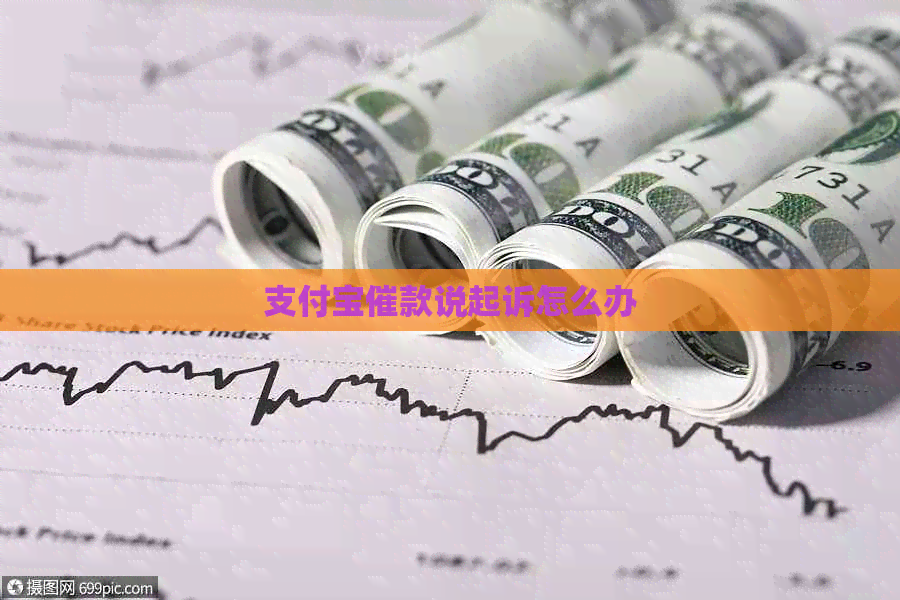 支付宝催款说起诉怎么办