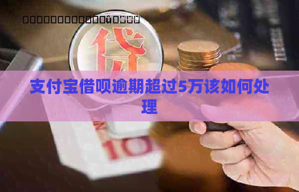 支付宝网贷逾期超过5万该如何处理