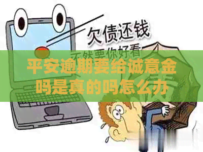 平安逾期要给诚意金吗是真的吗怎么办