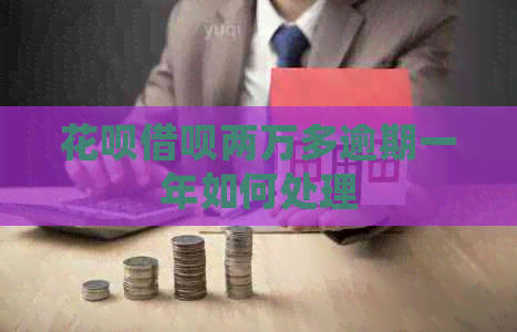 信用卡网贷两万多逾期一年如何处理