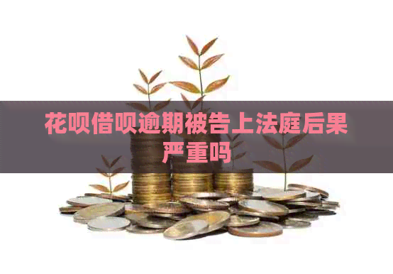 信用卡网贷逾期被告上法庭后果严重吗