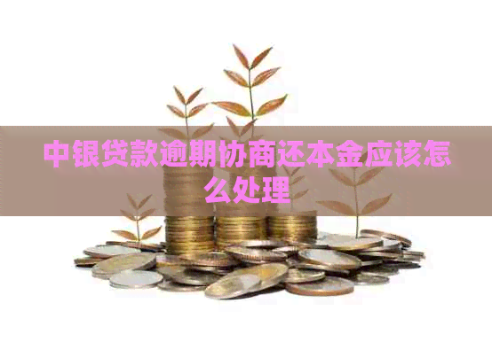 中银贷款逾期协商还本金应该怎么处理