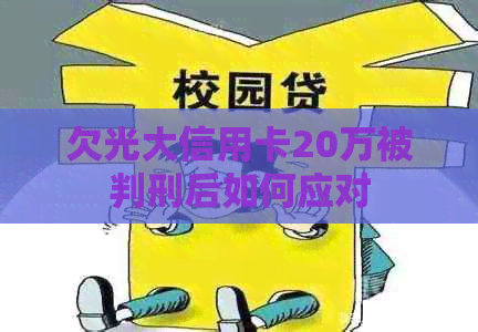 欠光大信用卡20万被判刑后如何应对