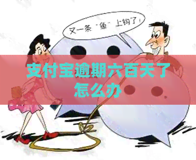 支付宝逾期六百天了怎么办